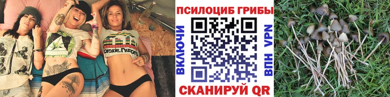что такое Энгельс Псилоцибиновые грибы Magic Shrooms
